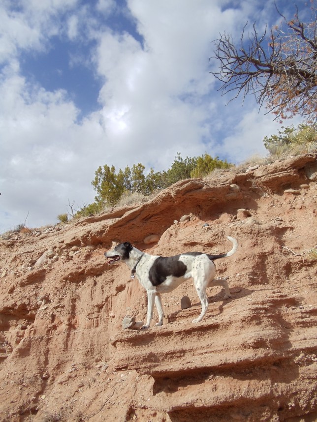 better luina on ledge